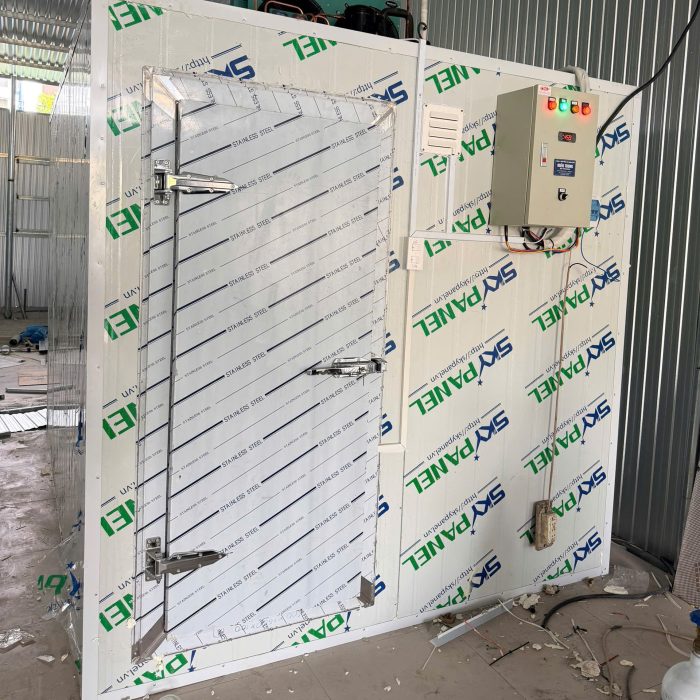 Cửa bản lề kho lạnh CST-02DP