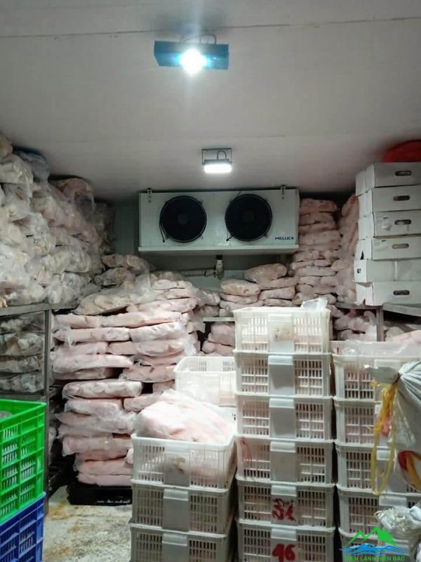 Công Ty TNHH Tổng Kho Đông Lạnh Miền Trung