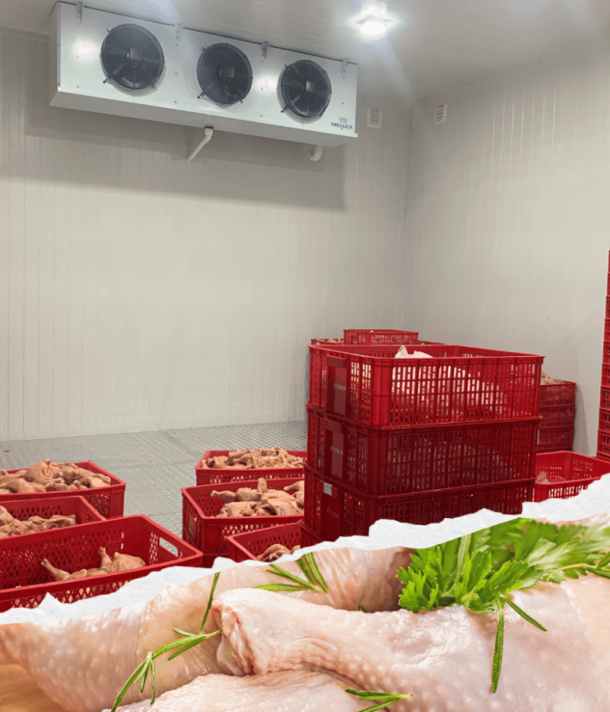 Công Ty TNHH Tổng Kho Đông Lạnh Miền Trung