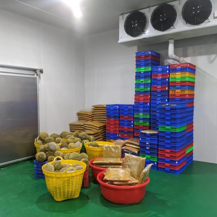 Kho cấp đông sầu riêng